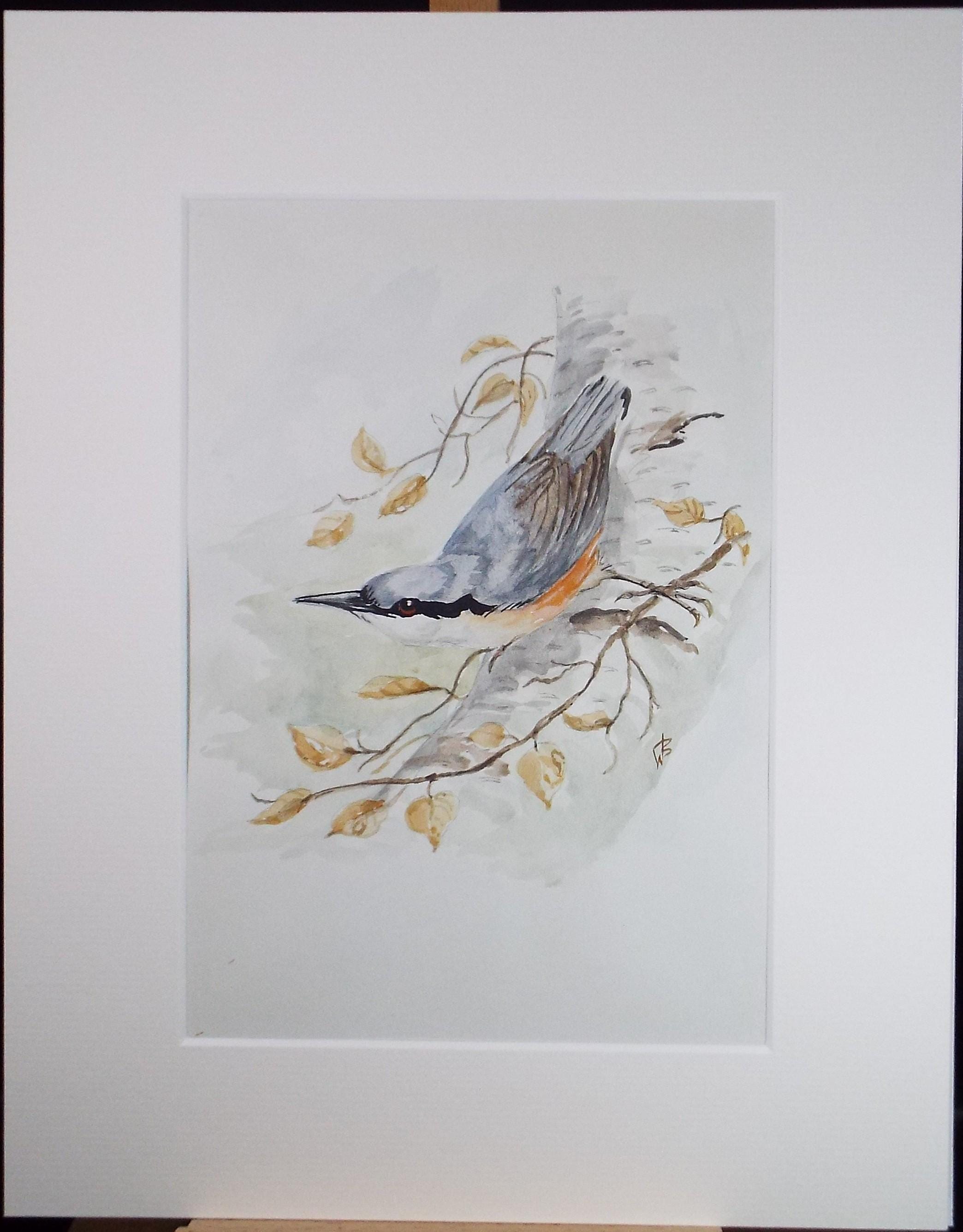 Original watercolour, 'Nutchatch', Circa 1970's, W. Brewer