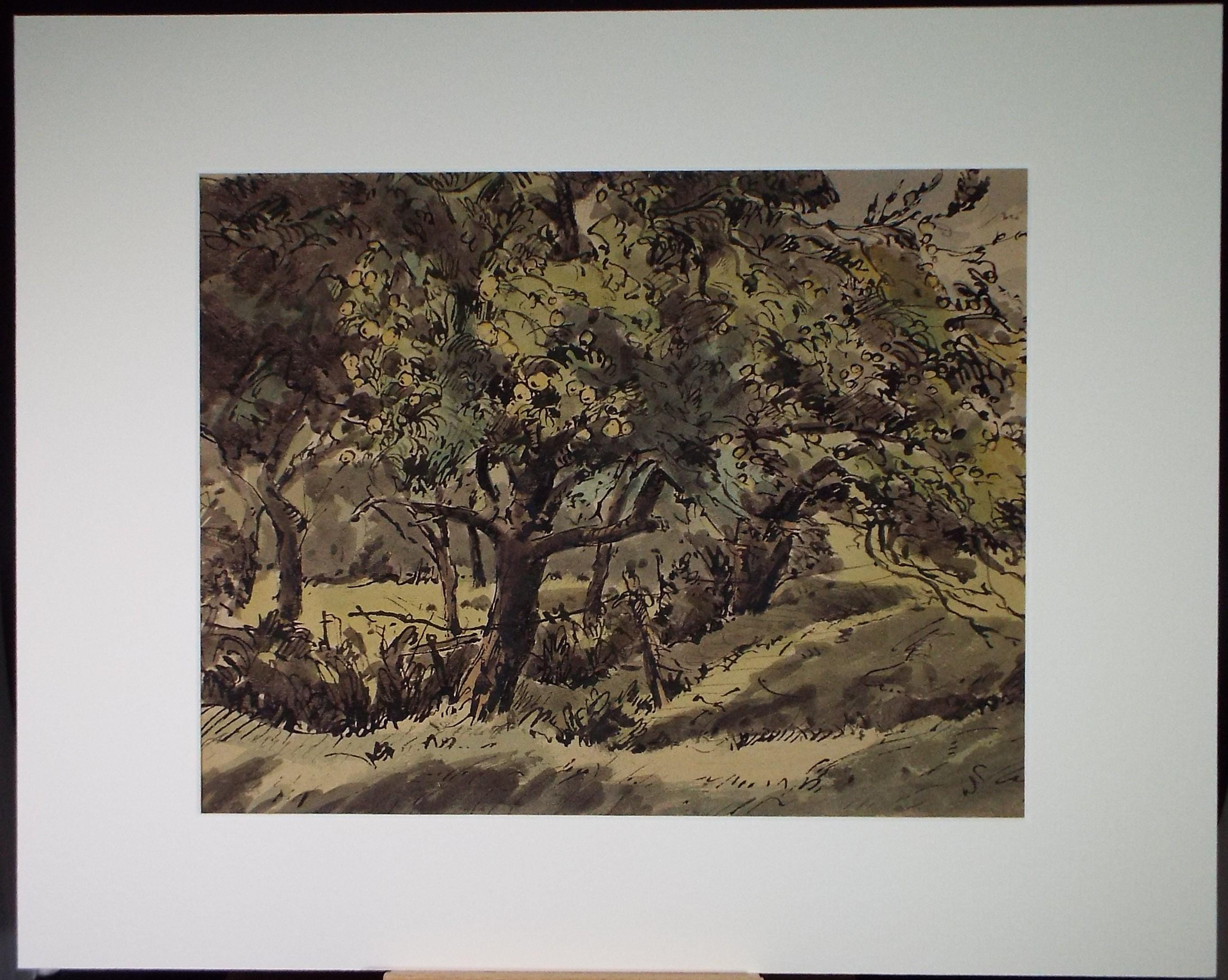 Original Watercolour, 'Trees on a field margin', Edward Eaton Brannan (1886-1957),Circa 1940's