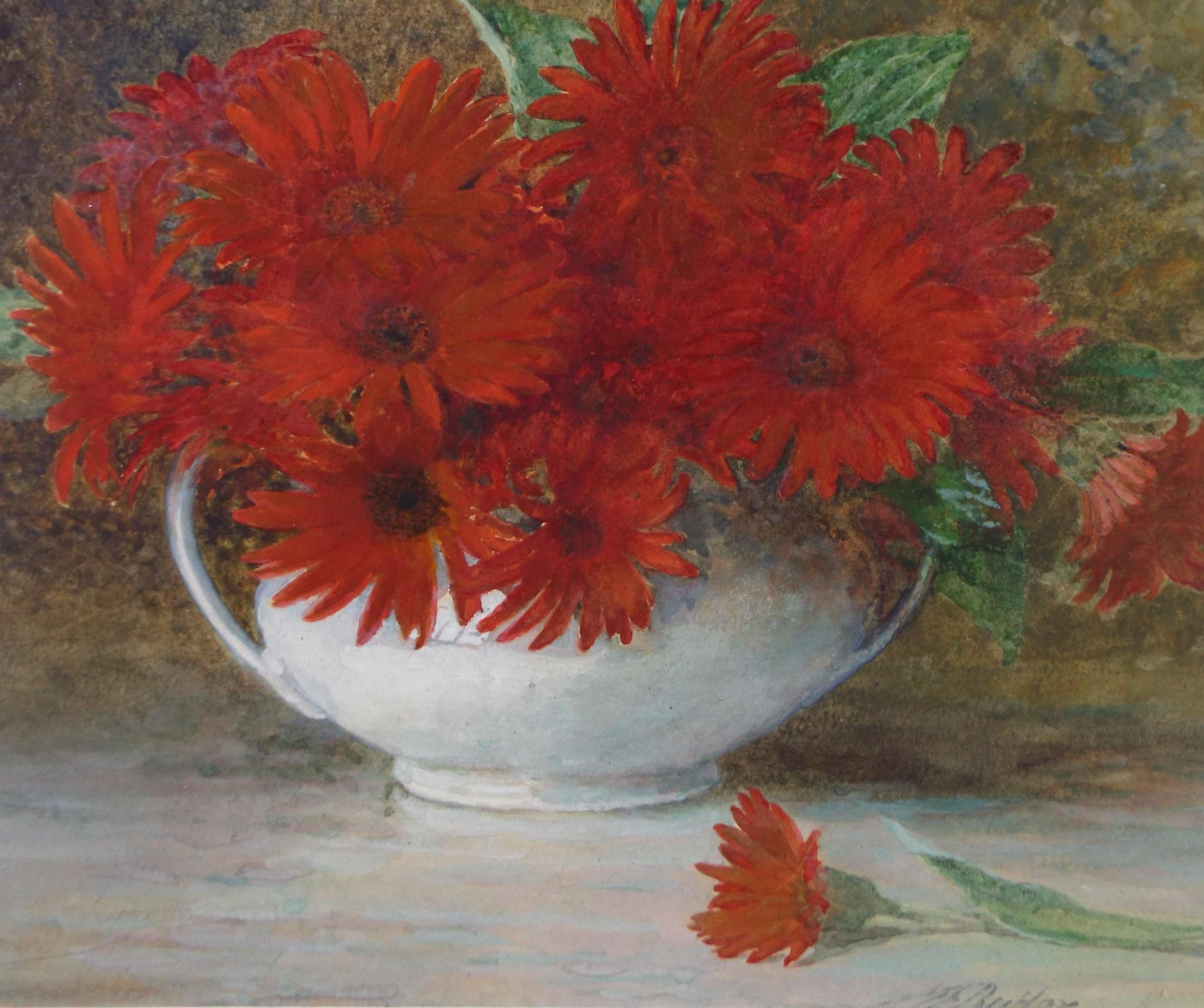 Original Watercolour & Gouache, 'Red Gerber Daisies', Circa 1910's, Signed Butler