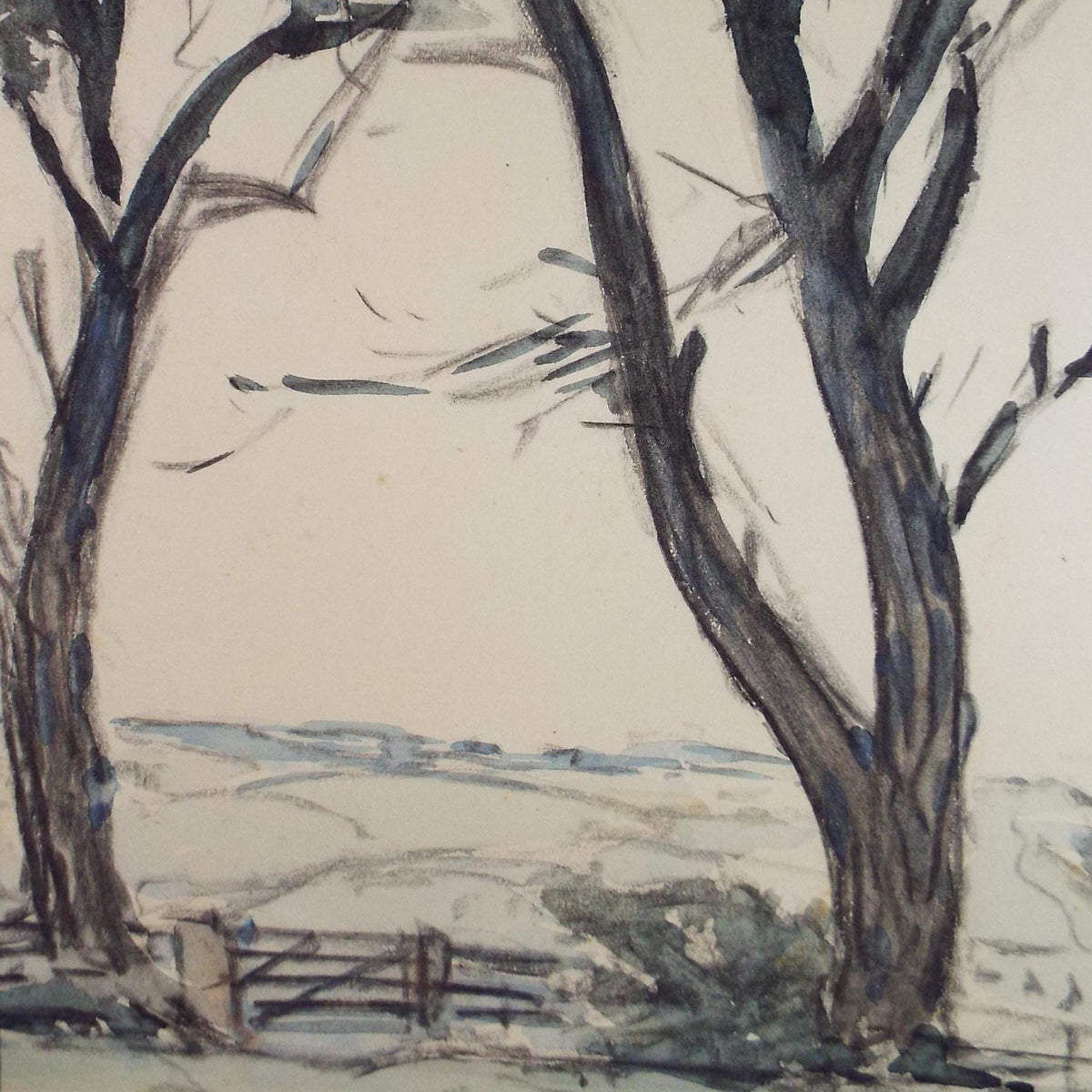 Original Watercolour & Pencil, 'Trees on a field margin' Circa 1920's, Lawrence Walker (1877-1967)