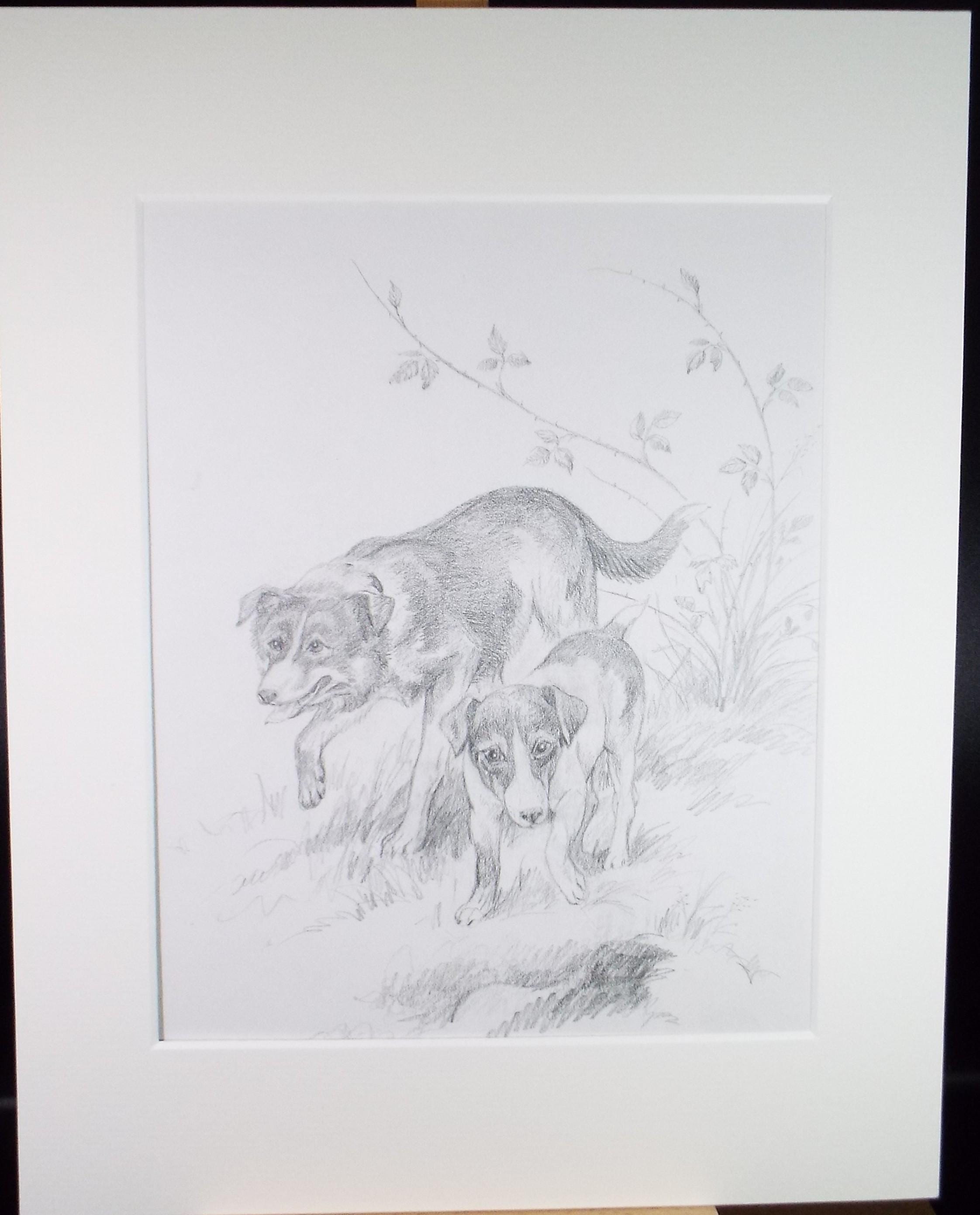 Original pencil drawing ,'Two Dogs', circa 1980's Unknown artist