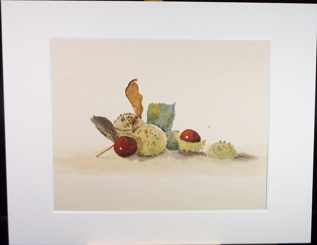 Original Watercolour, 'Still life of horse chestnuts', Circa 1950's, unknown artist