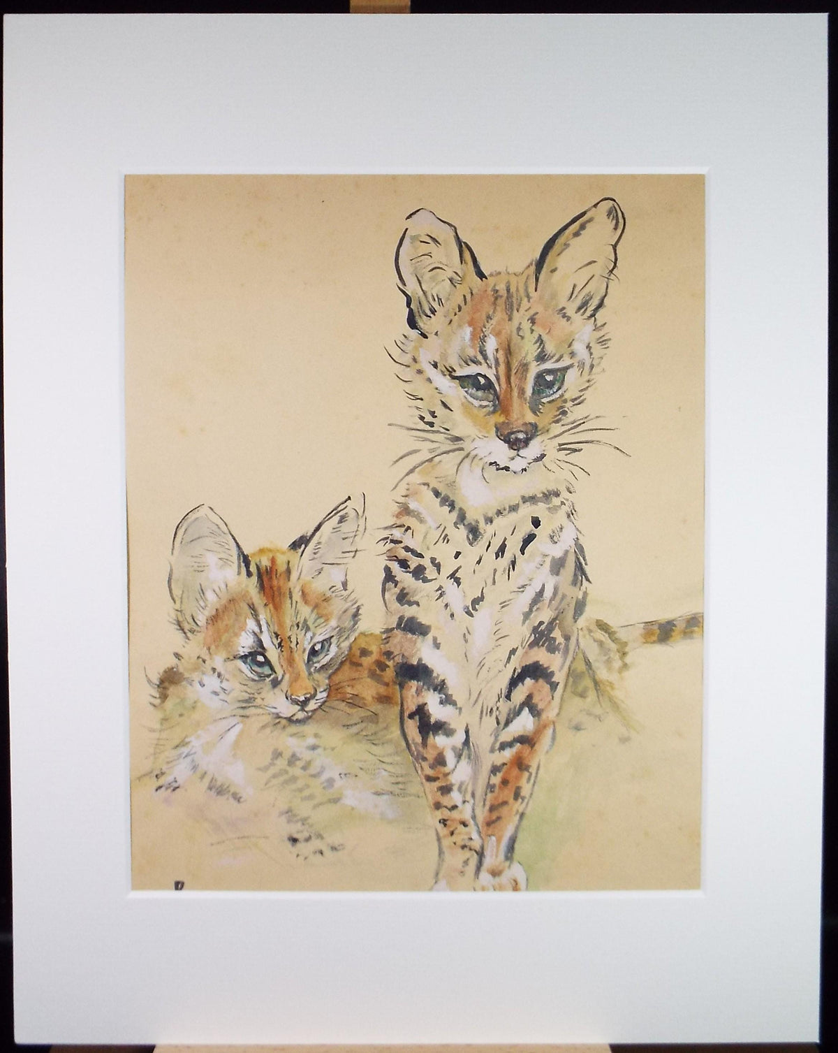 Watercolour Painting , 'Serval Kittens', Unknown Artist, Circa 1950's
