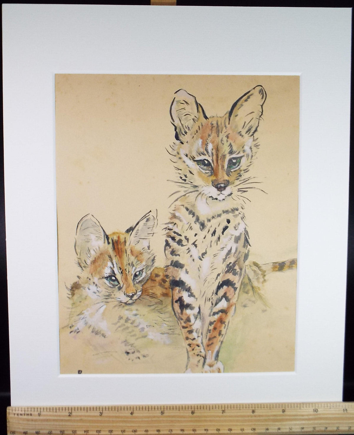 Watercolour Painting , 'Serval Kittens', Unknown Artist, Circa 1950's