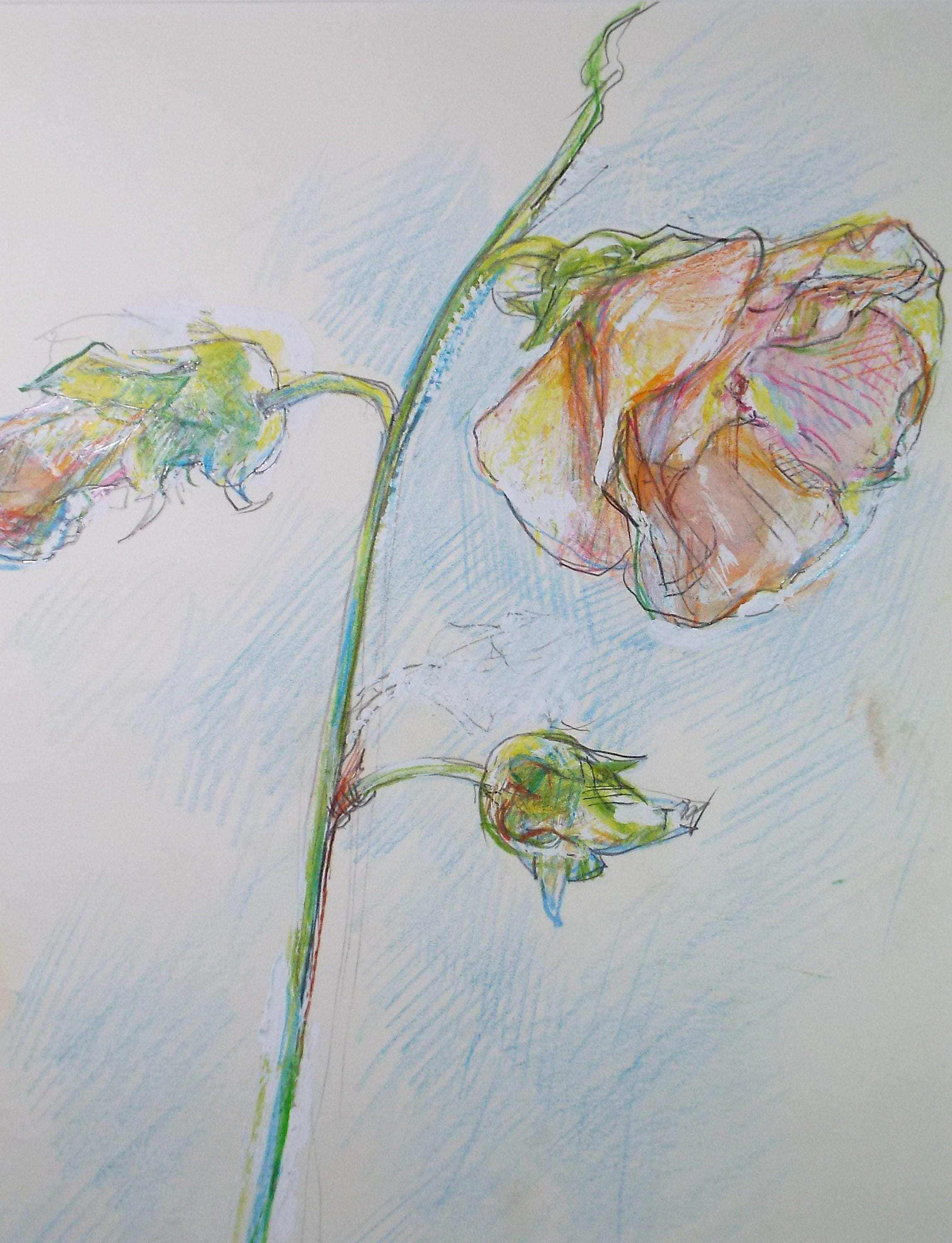 Modernist Mixed media, 'Flower Study', Circa 1990's, John Gilbey Bowles (1929-2011)