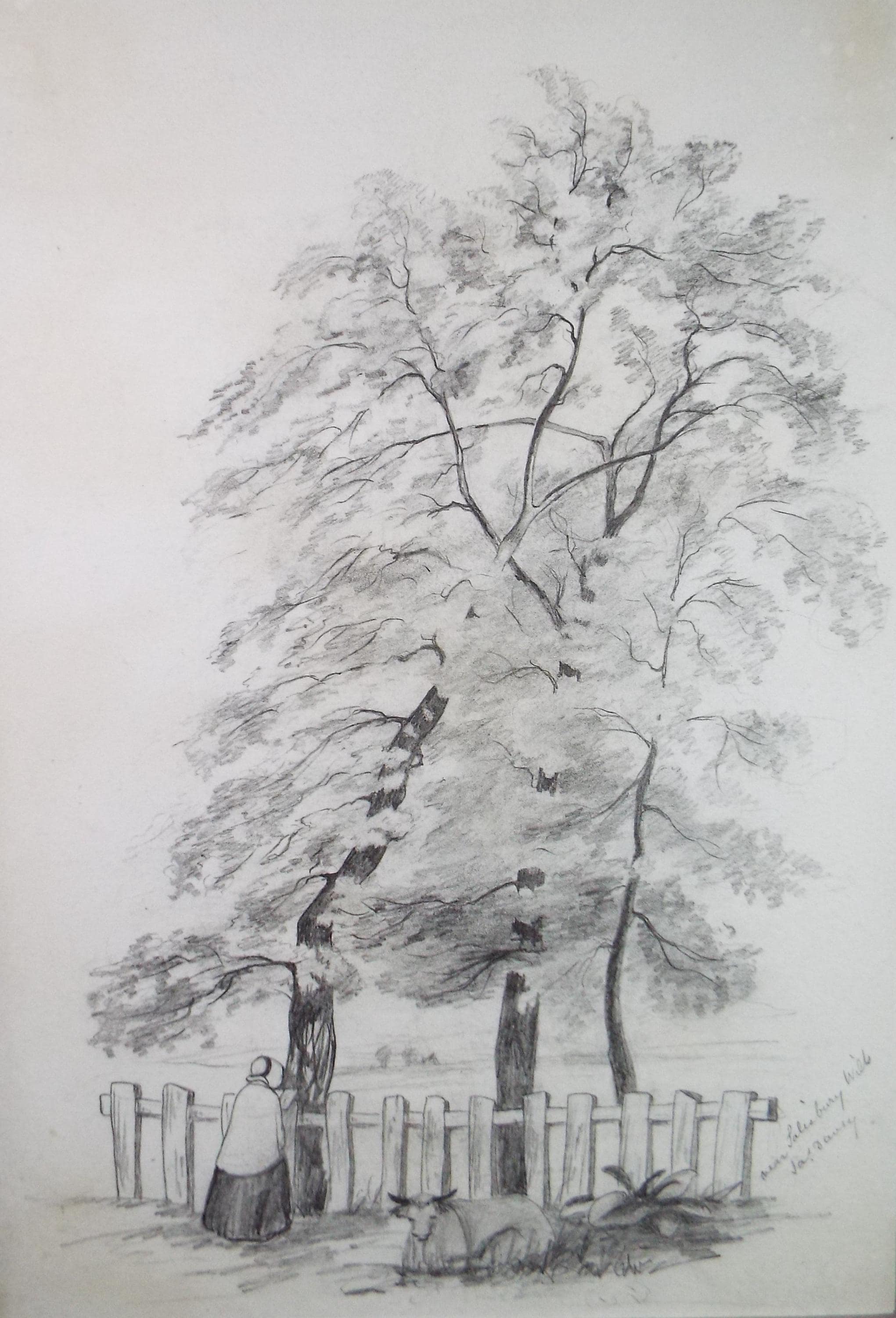 Original Pencil Drawing, 'Near Salisbury', Mid 19th Century, Unknown Artist