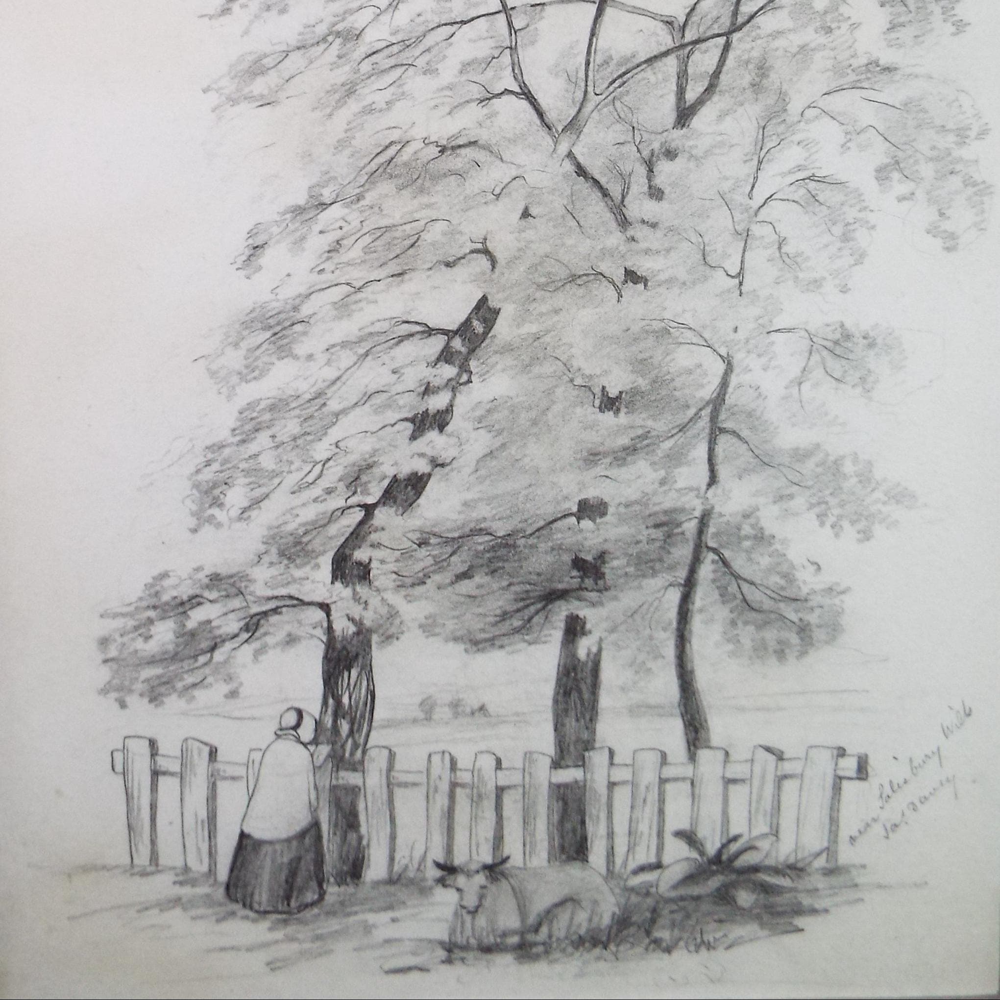 Original Pencil Drawing, 'Near Salisbury', Mid 19th Century, Unknown Artist