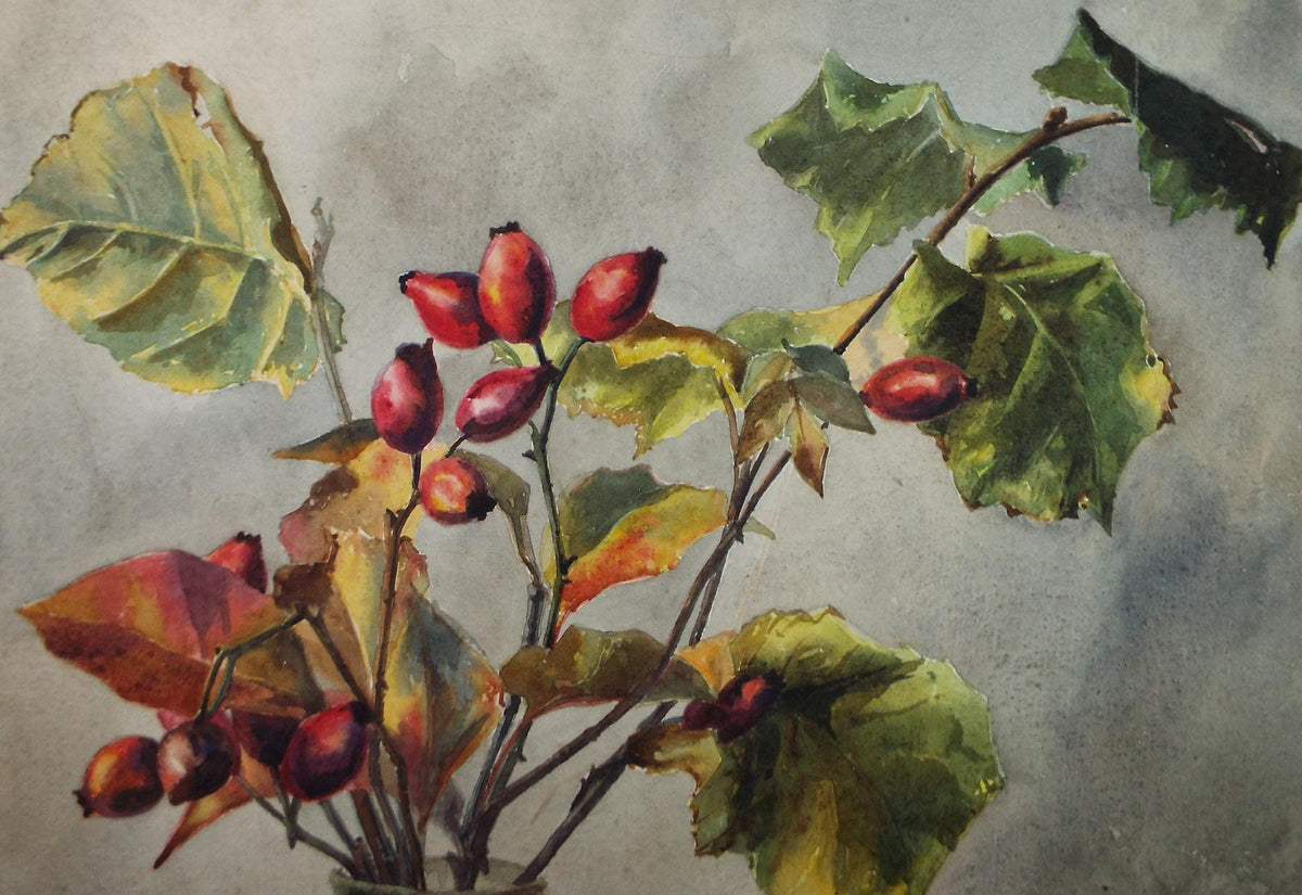 Original Watercolour, 'Still Life of Rosehip' , Early 20th Century, Unknown artist