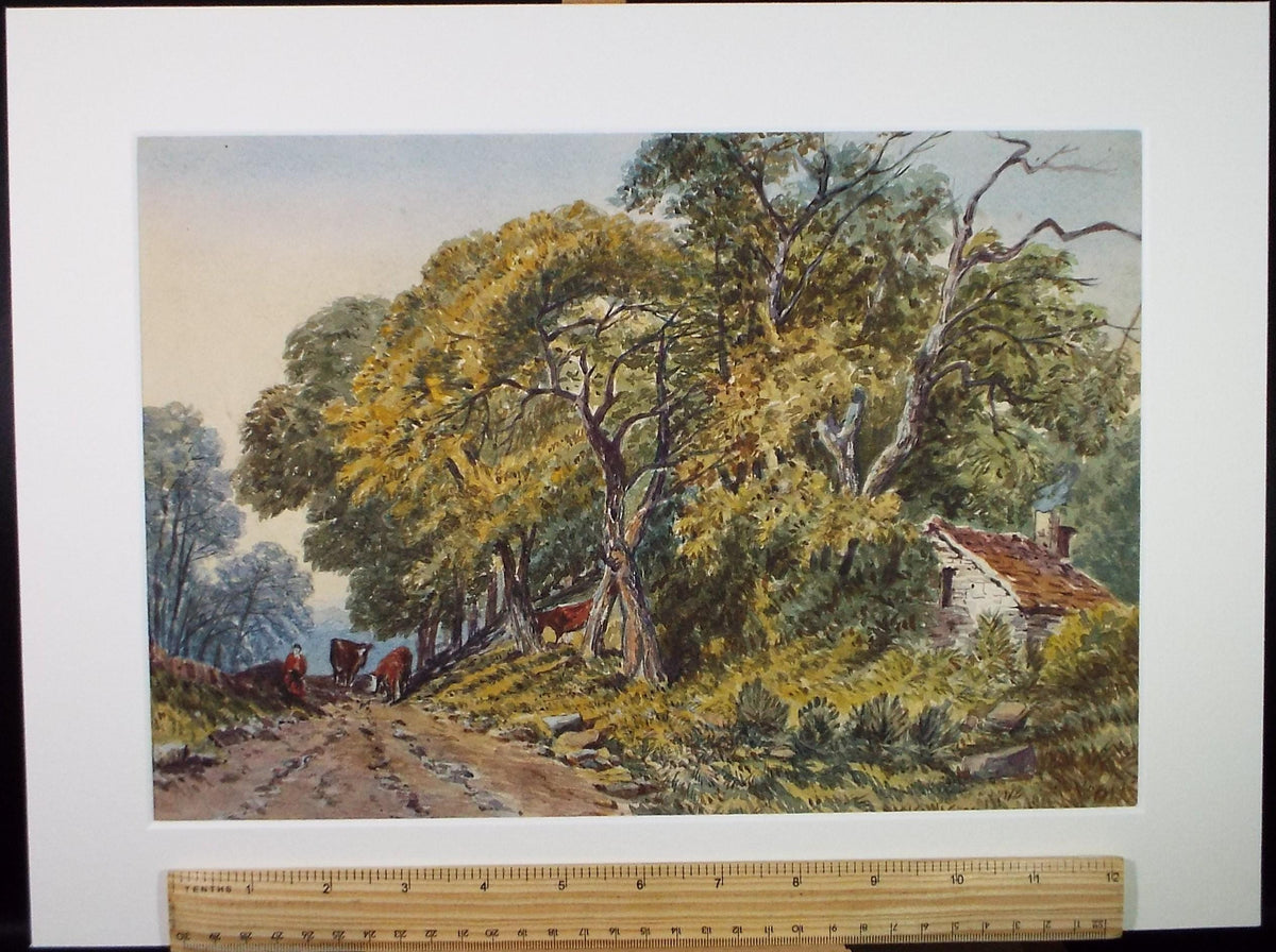 Original Watercolour, 'Cattle in Woodland' Late 19th Century, Artist Unknown