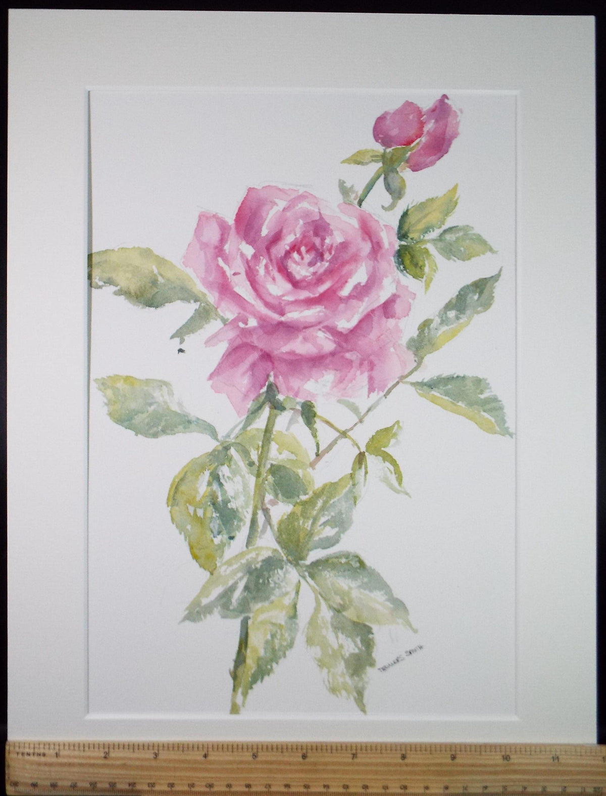 Original Watercolour, 'Still Life of Rose' 1990's, Dorothea Travers-Smith