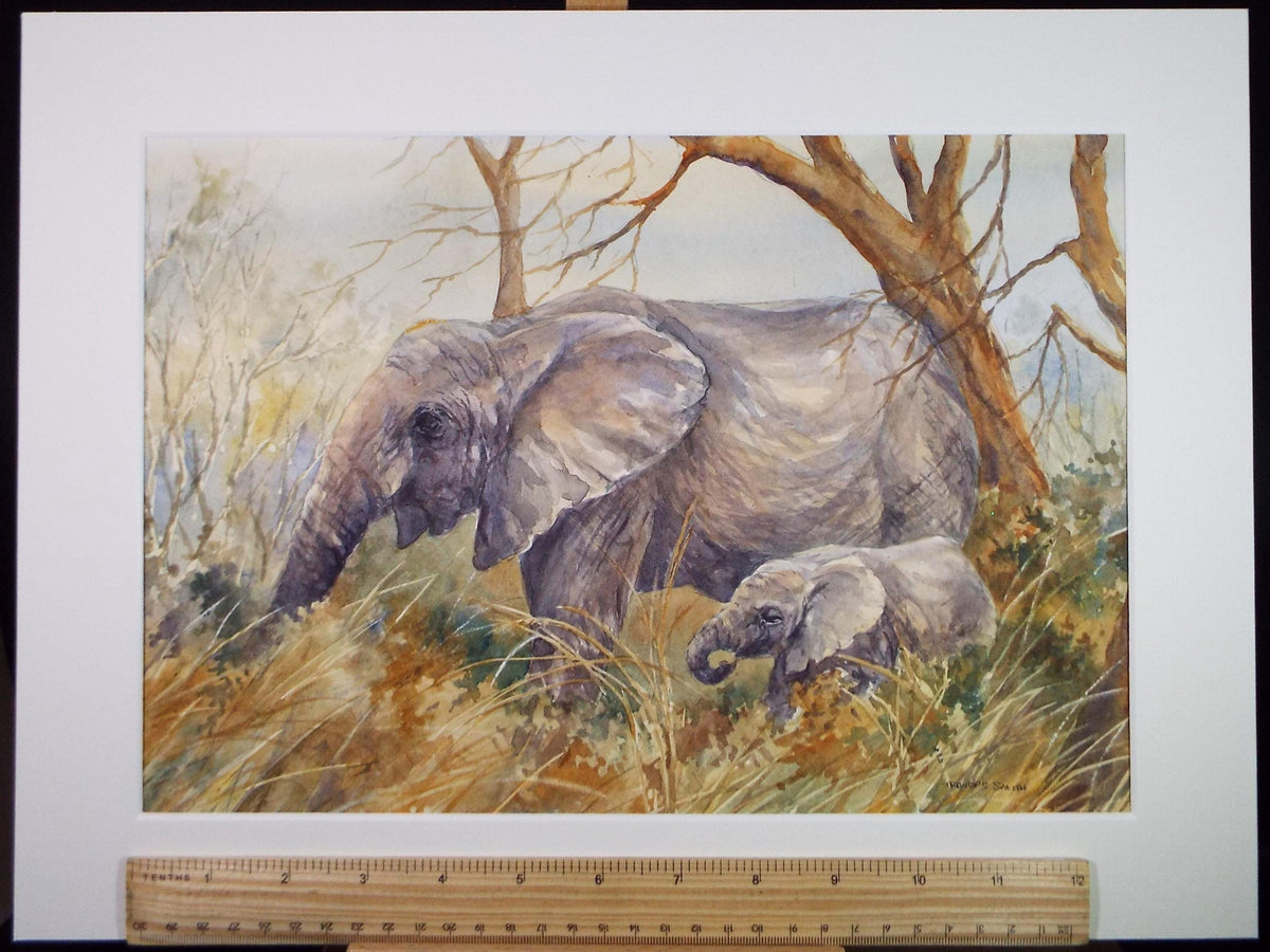 Original Watercolour, 'African Elephants' circa 1990's, Dorothea Travers-Smith,