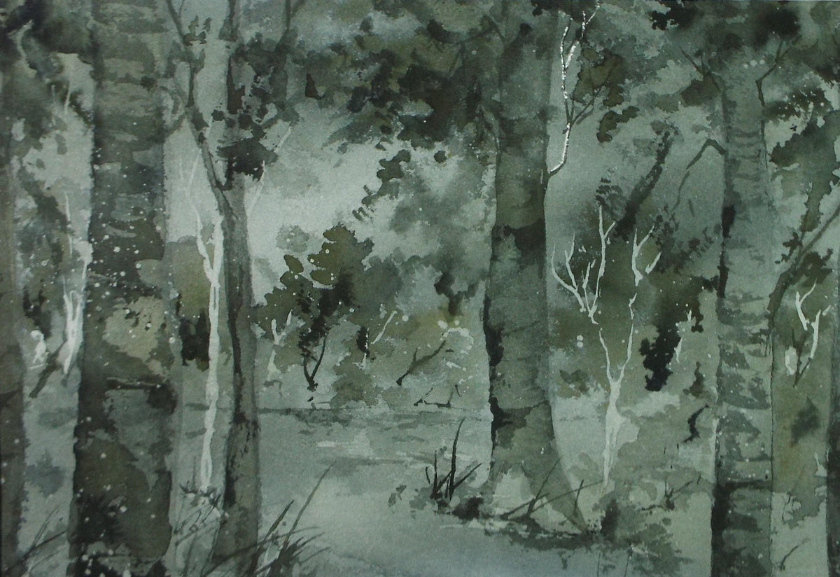 Original Watercolour 'Study of Birch Trees', c1990's , Dorothea Travers-Smith