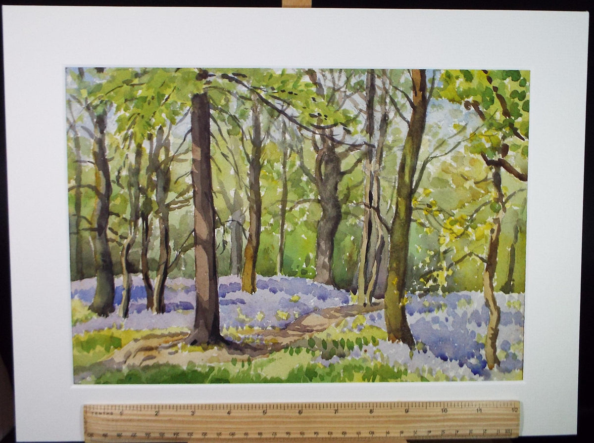 Original Watercolour 'Bluebell Wood', Circa 1950's, Richard A Siddall