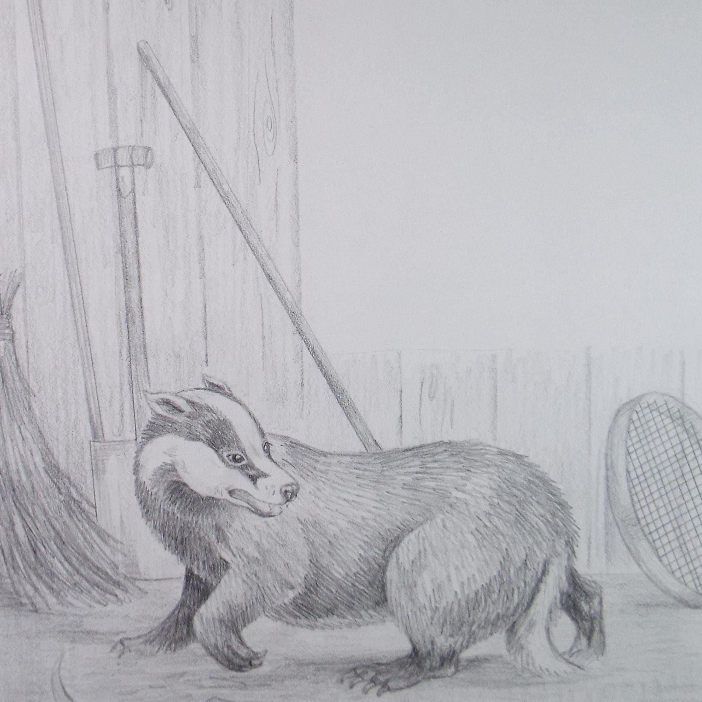Original Pencil Drawing, 'Badger by the tool shed', circa 1980's, Artist unknown