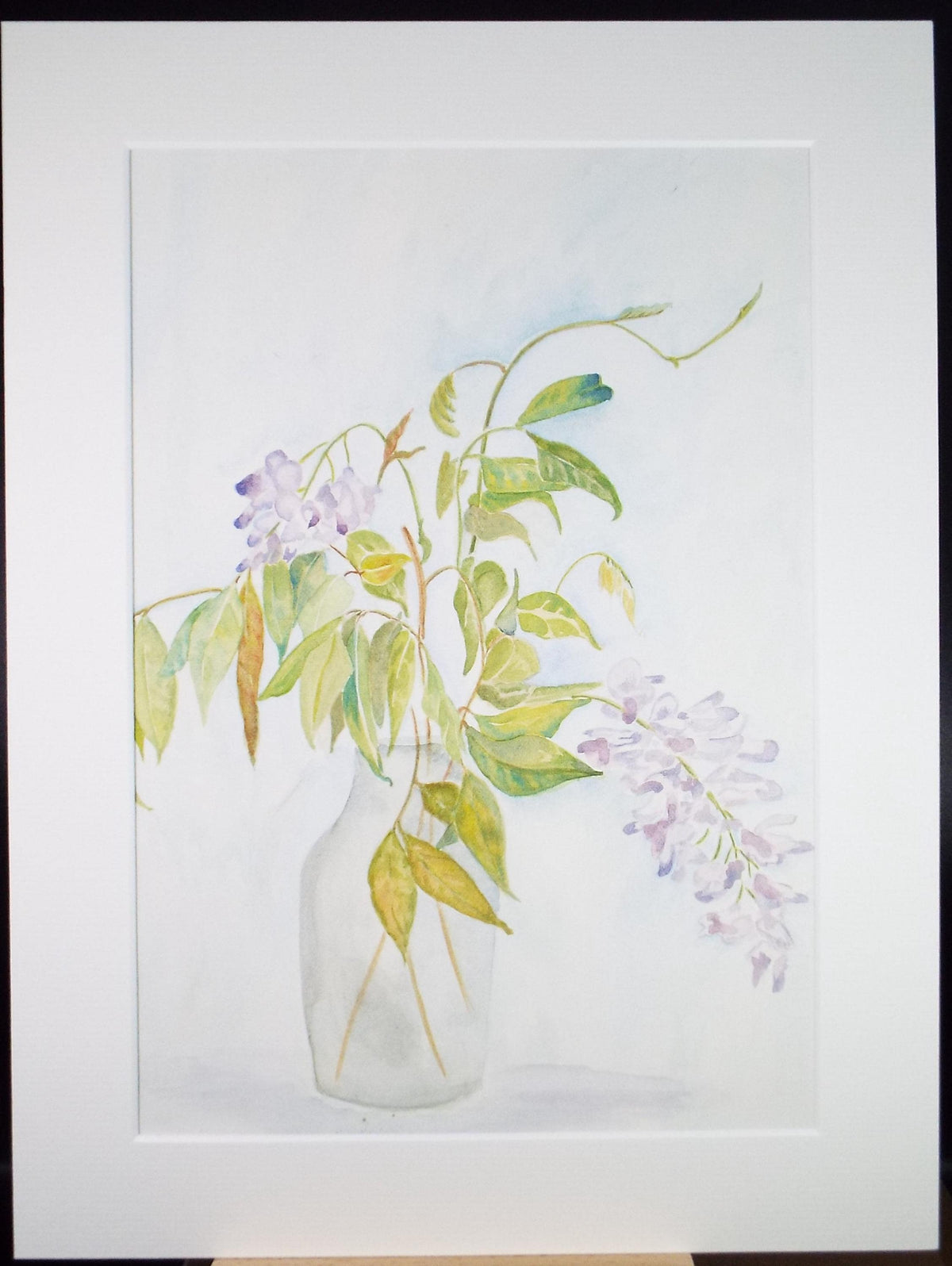 Original Watercolour, 'Still Life of wisteria', Dated 1984 ,Unknown Artist