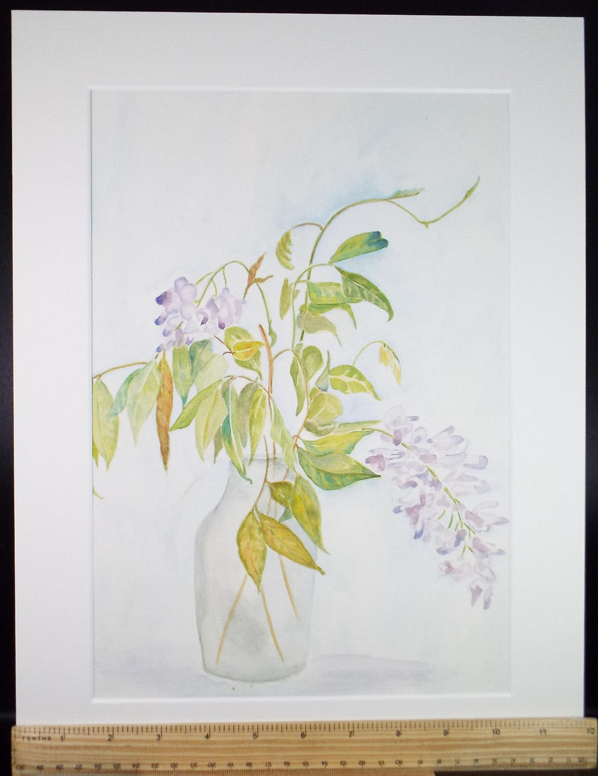 Original Watercolour, 'Still Life of wisteria', Dated 1984 ,Unknown Artist
