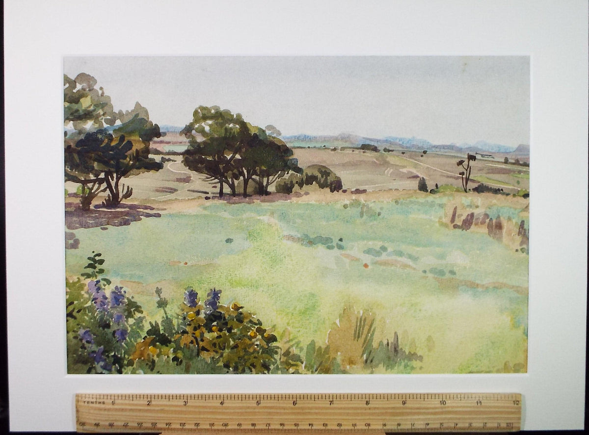 Original Watercolour, 'The Common', Circa 1980's, Artist Unknown