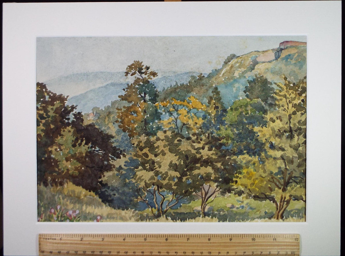 Original Watercolour 'Wooded Hills', Dated 1972, Richard A Siddall