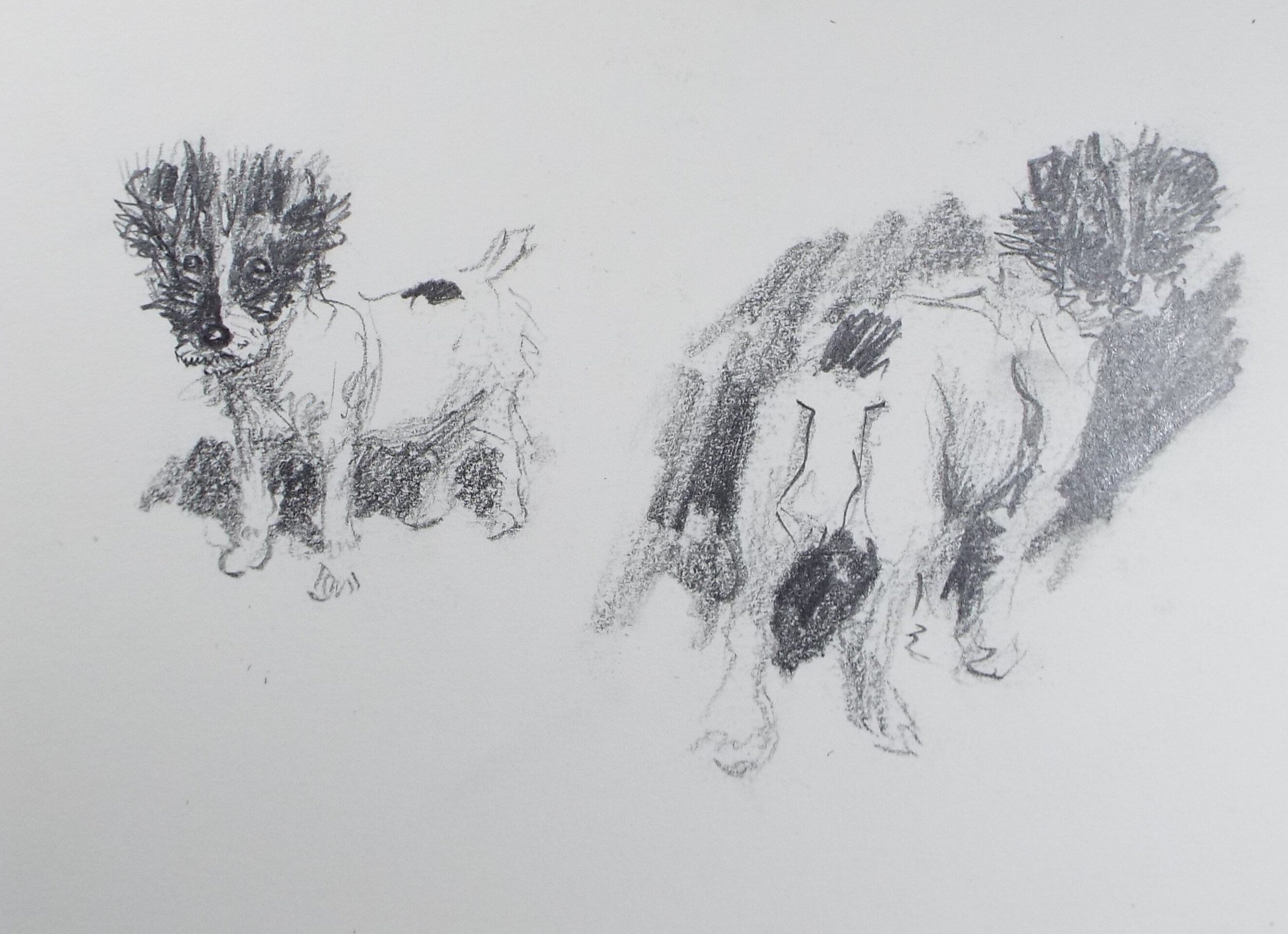 Original Pencil Sketch, Michael Lyne (1912-1989), 'Study of a Terrier', Mid 20th Century