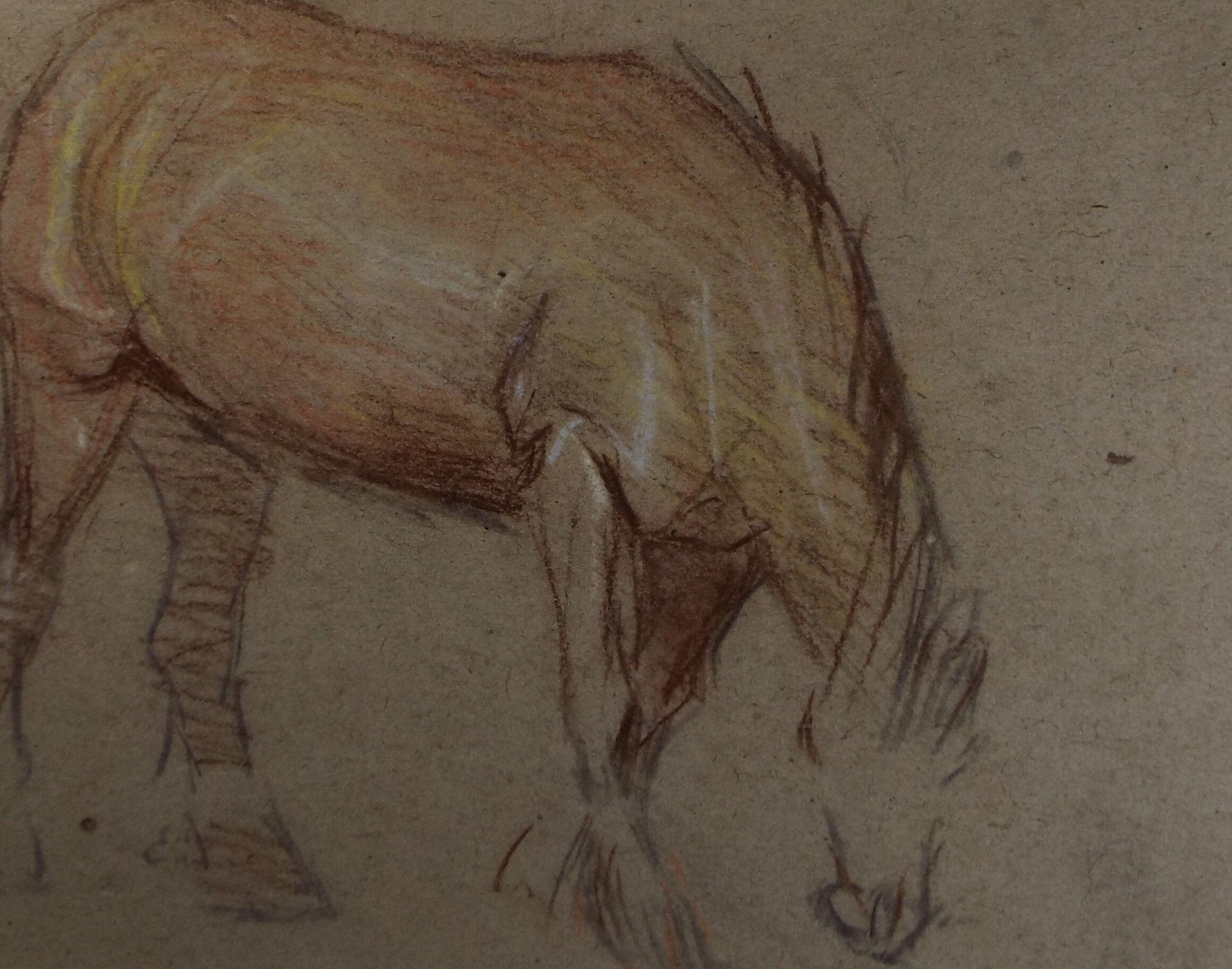 Original pencil sketch, 'Study of a Horse', Susan Beatrice Pearce (1878-1980), Circa 1920