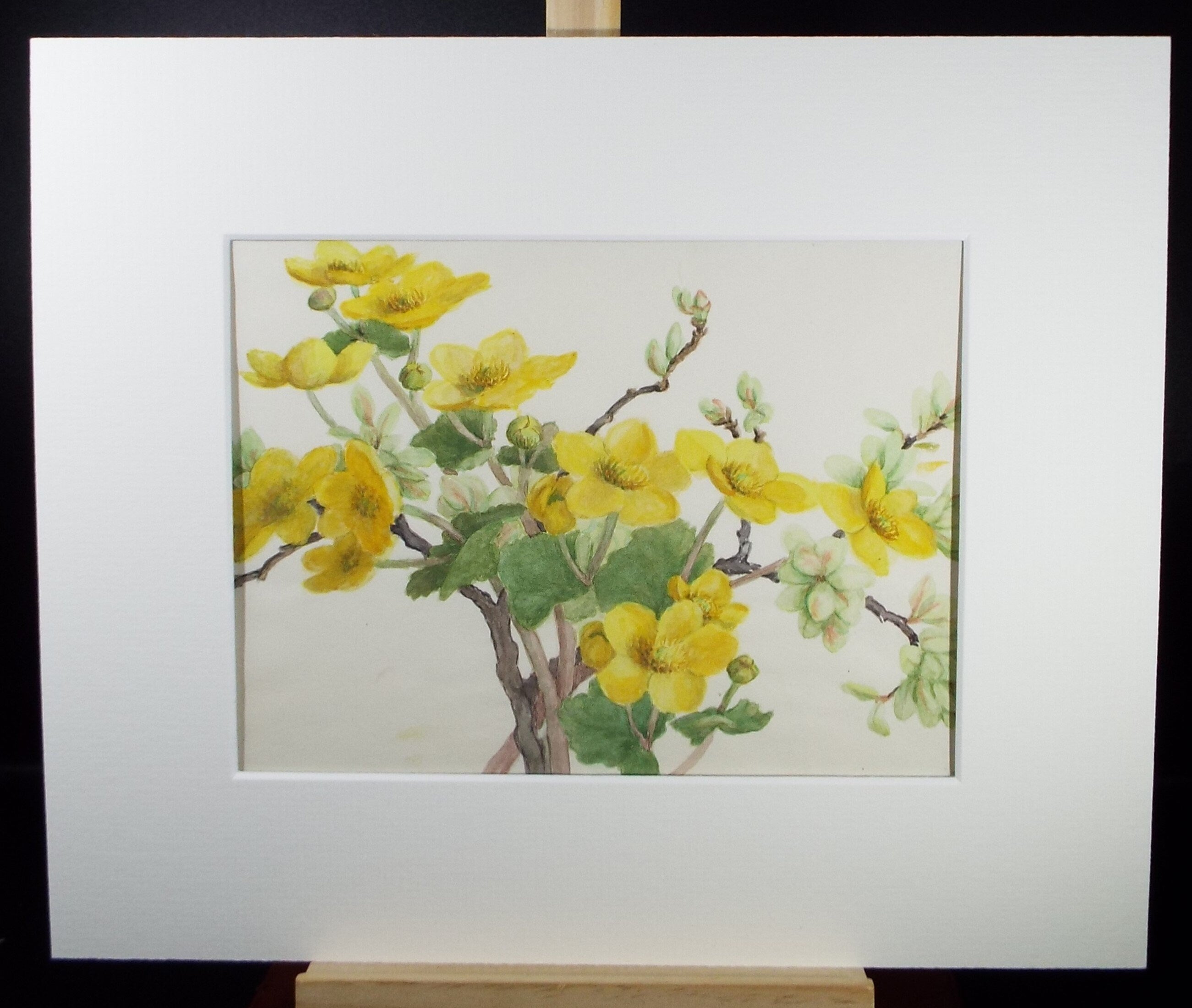 Original Watercolour, 'St John's Wort', circa 1875, Artist Unknown